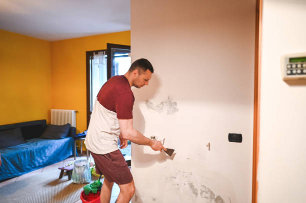 Best Mold Damage Repair  in Alachua, FL